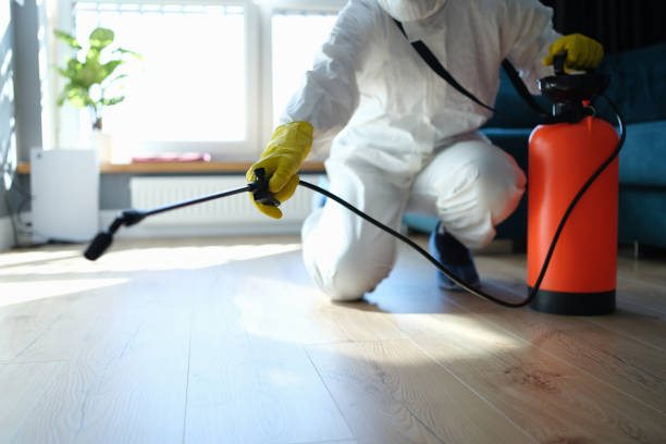 Reliable Biohazard contractor in Hampton, IL by Trauma Clean Pros